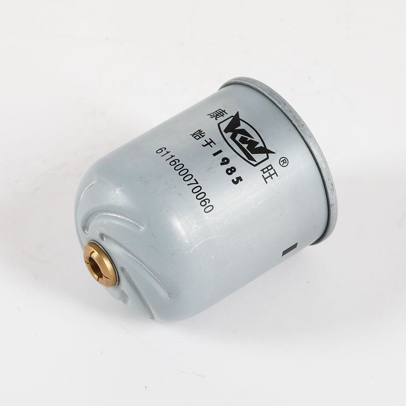 Large Capacity Truck Fuel Filter For Trucks 611600070060