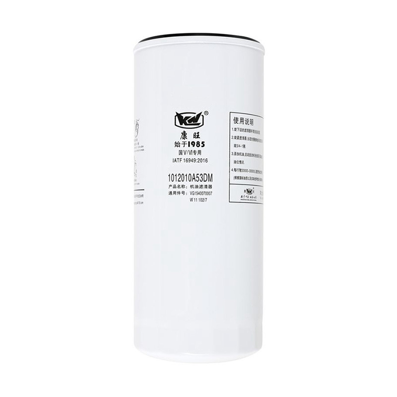 1012010A53DM Origin Semi Truck Fuel Filter Cartridge For Heavy-Duty Vehicles
