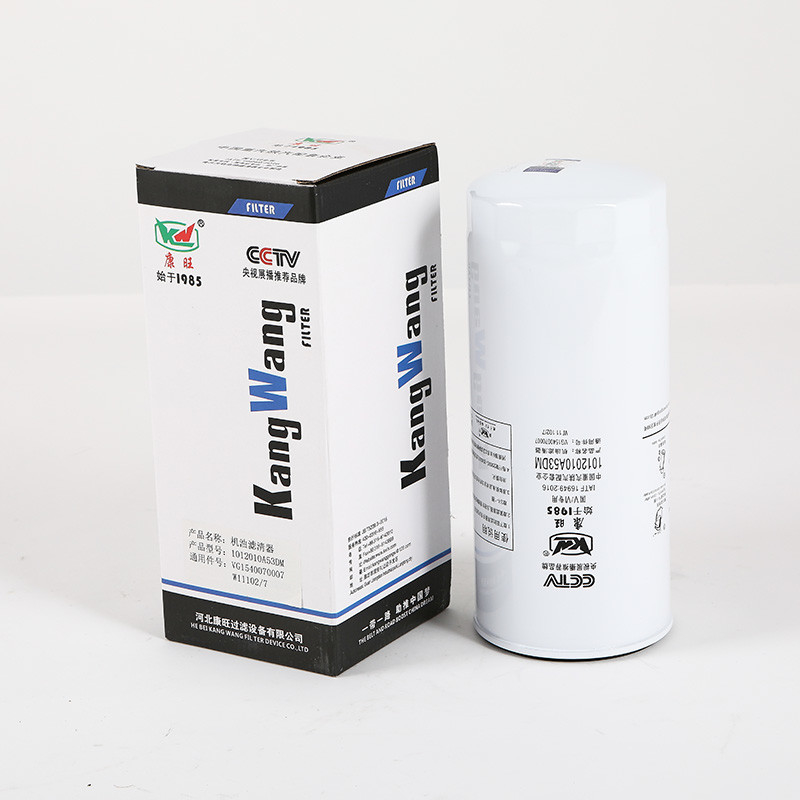 1012010A53DM Origin Semi Truck Fuel Filter Cartridge For Heavy-Duty Vehicles