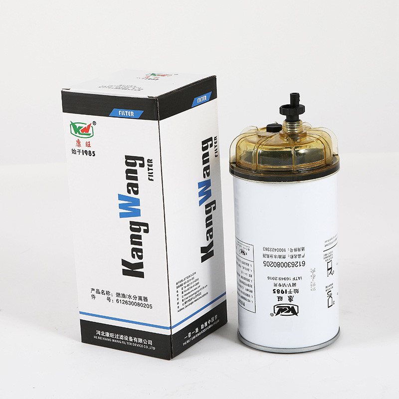 612630080205 Trucks Truck Fuel Filter For Compatibility With Engine Parts