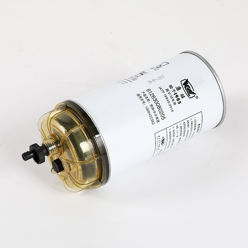 612630080205 Trucks Truck Fuel Filter For Compatibility With Engine Parts