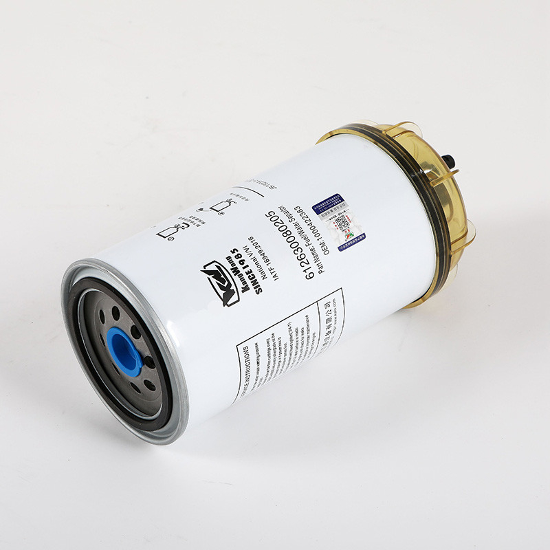 612630080205 Trucks Truck Fuel Filter For Compatibility With Engine Parts