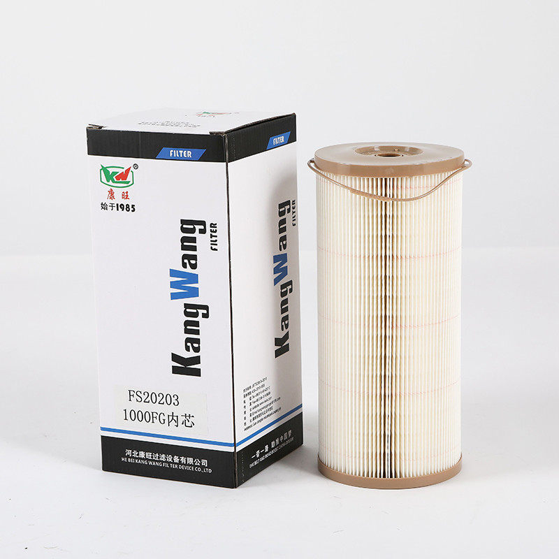 FS20203 1000FG Low Maintenance Truck Fuel Filter From Hebei Origin