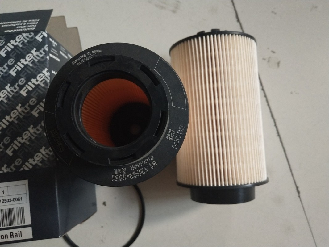 1kg Diesel Truck Fuel Filter 12503-0061 with 15×15×28cm Size