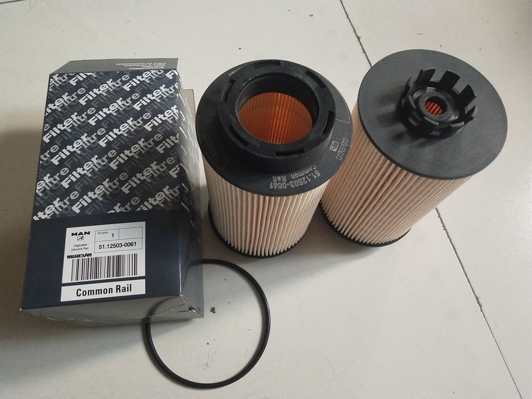 1kg Diesel Truck Fuel Filter 12503-0061 with 15×15×28cm Size