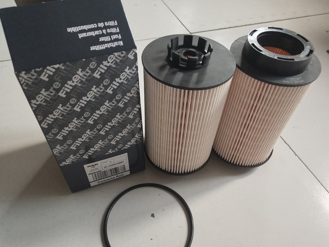 1kg Diesel Truck Fuel Filter 12503-0061 with 15×15×28cm Size