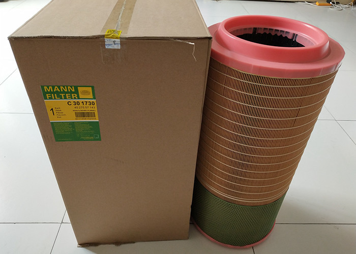 Mann Truck Air Filters C301730 For Remove Odor Dust Air ISO9001